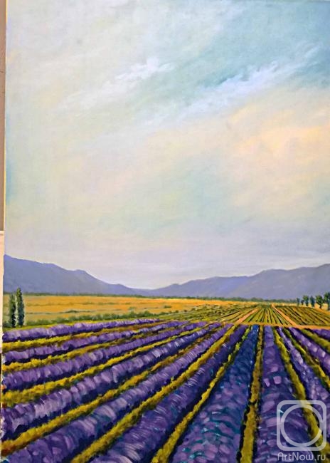 Petrov Sergey. Lavender Field