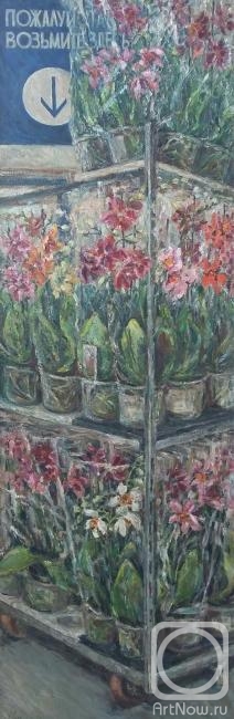 ������� ������ �� ������. ���� �����. �������