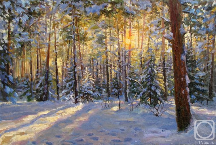 Rodionov Igor. The winter sun is in a hurry