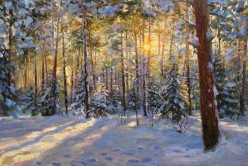 The winter sun is in a hurry. Rodionov Igor