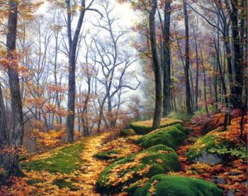 Forest paths. Karlikanov Vladimir