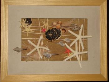 Collage of starfish (Sea Races). Abdullin Roman