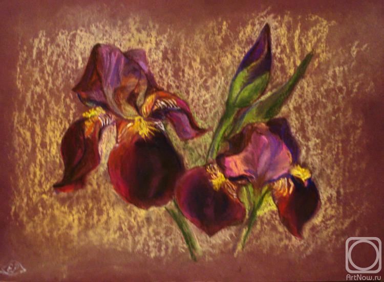 �������. ���� �����. ���������� �����