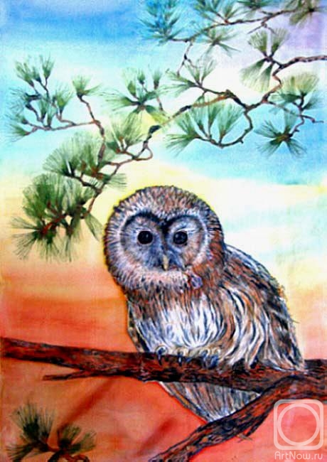Shulika Lyudmila. Owl on a pine branch