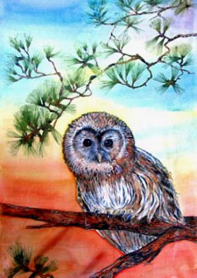 Owl on a pine branch. Shulika Lyudmila