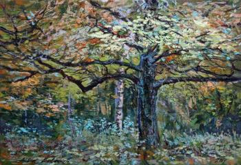 Oak In The Alexander Park In Pushkin
