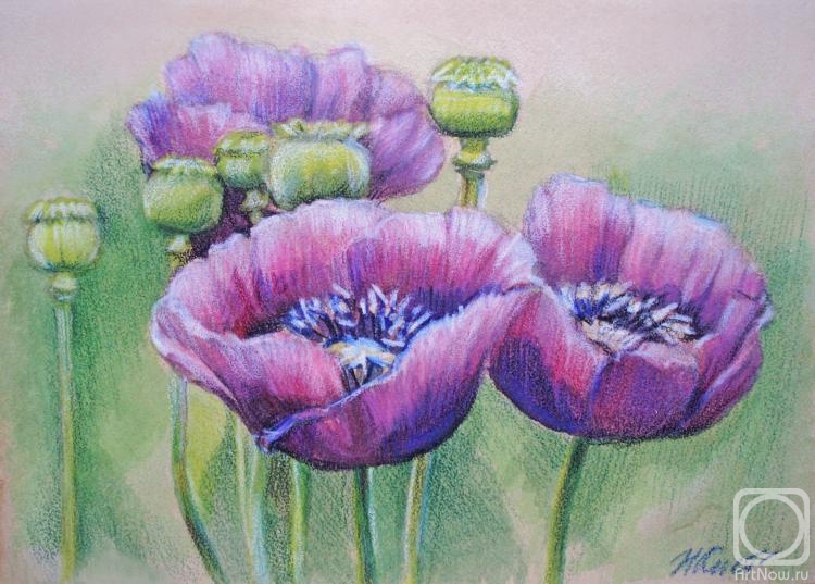 �������. ��������� �������. ����