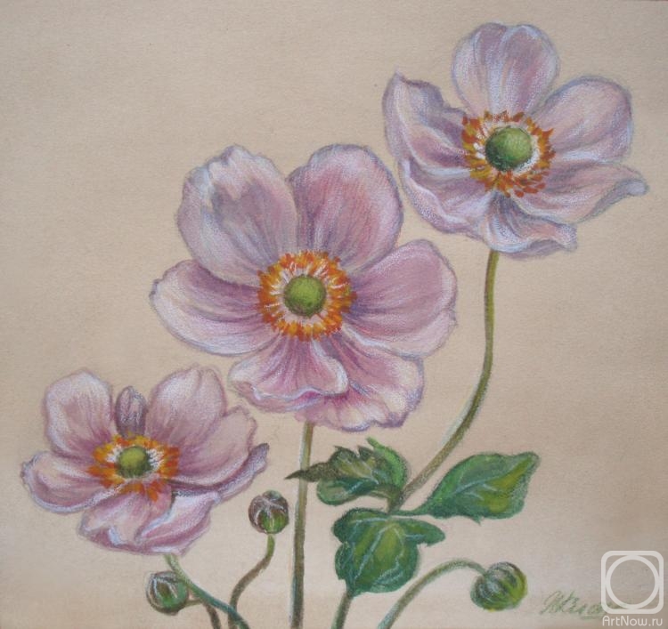 �������. ��������� �������. ��������