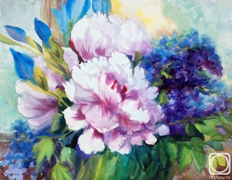 �������. ���������� ���������. �������� ����� � ����