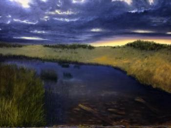 Morning in the dunes