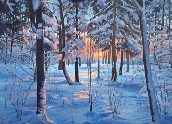 Sunset in the winter forest