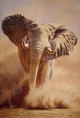 Elefant. Bruno Augusto
