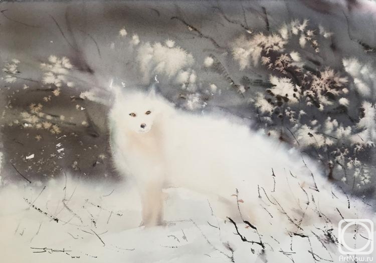 Gorbachevskaya Tatsiana. Arctic fox