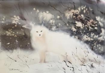 Arctic fox. Gorbachevskaya Tatsiana