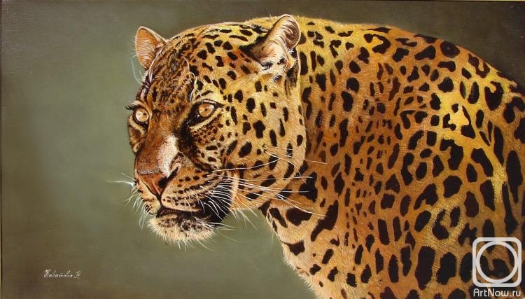 Kabatova Nadya. Portrait of a leopard