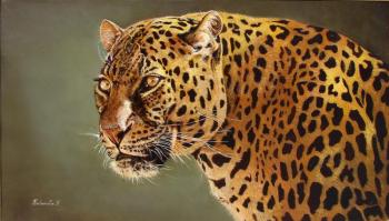 Portrait of a leopard. Kabatova Nadya