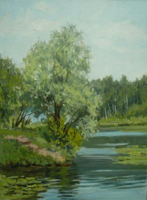 Willow near the water of Strogino. Toporkov Anatoliy