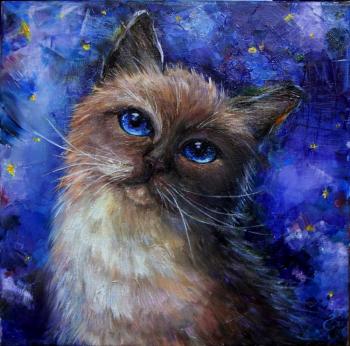 ������� ����