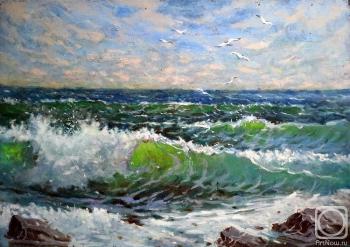 Wave near the shore. kulikov dmitrii