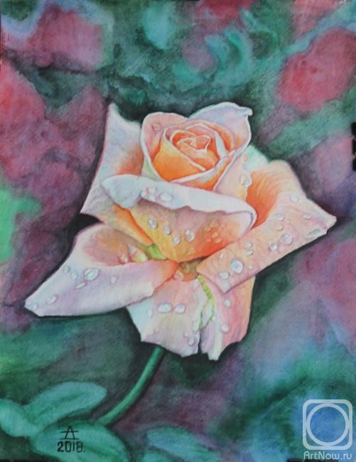 �������. �������� �����. ������� ��������