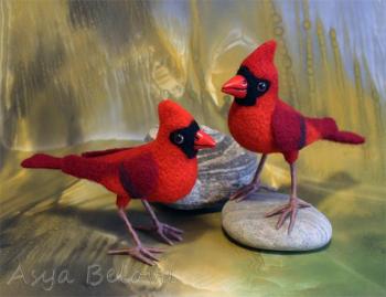 Red Cardinal. Belova Asya