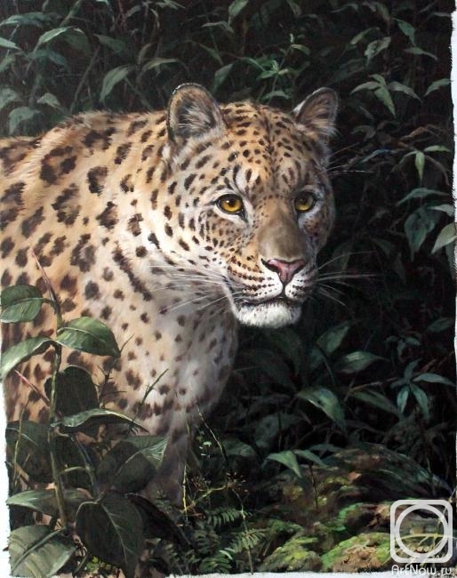Danchurova Tatyana. Leopard (hunting)