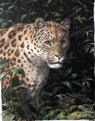 Leopard (hunting). Danchurova Tatyana
