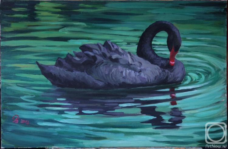 Ledniova Varvara. Black Swan