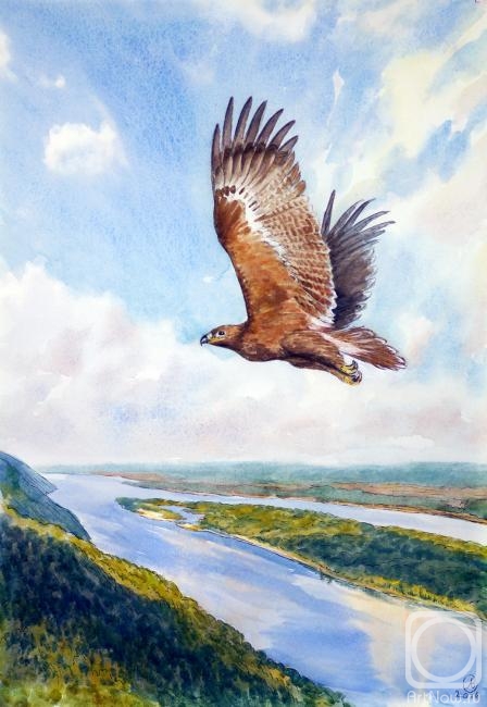 �������. ������� �������. ��� ������