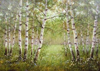 In a birch grove