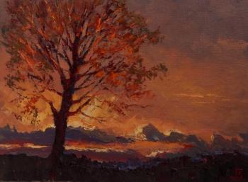 ������. ���������� �������