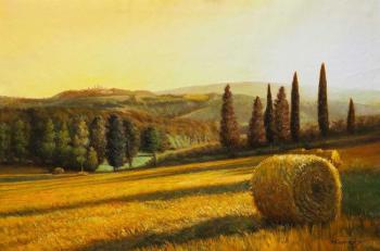 Hot sun in the fields of Tuscany. Kamskij Savelij