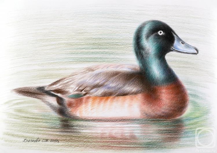 �������. �������� ��������. ����� ����