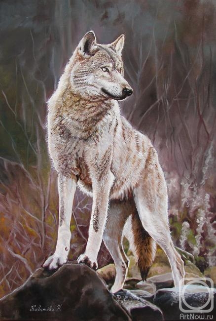 Kabatova Nadya. Wolf
