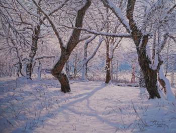 Morning in winter forest. Gorodilov Alexander