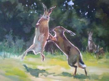 Hare Fight. Korolev Andrey