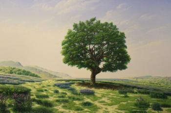 Blossoming valley. Kurbanov Ebrahim