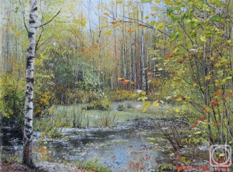 Vokhmin Ivan. Forest pond