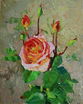 ������� �����