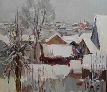Bolkhov in the snow