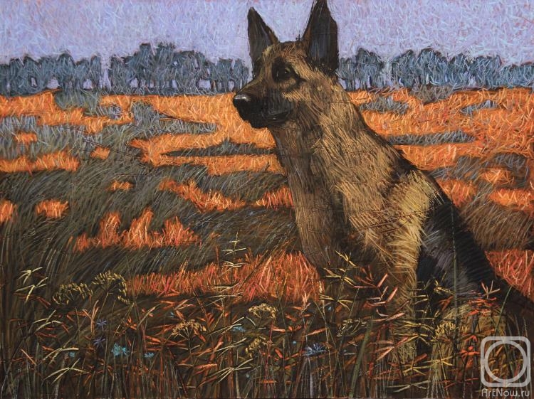 �������. ������� �������. �����