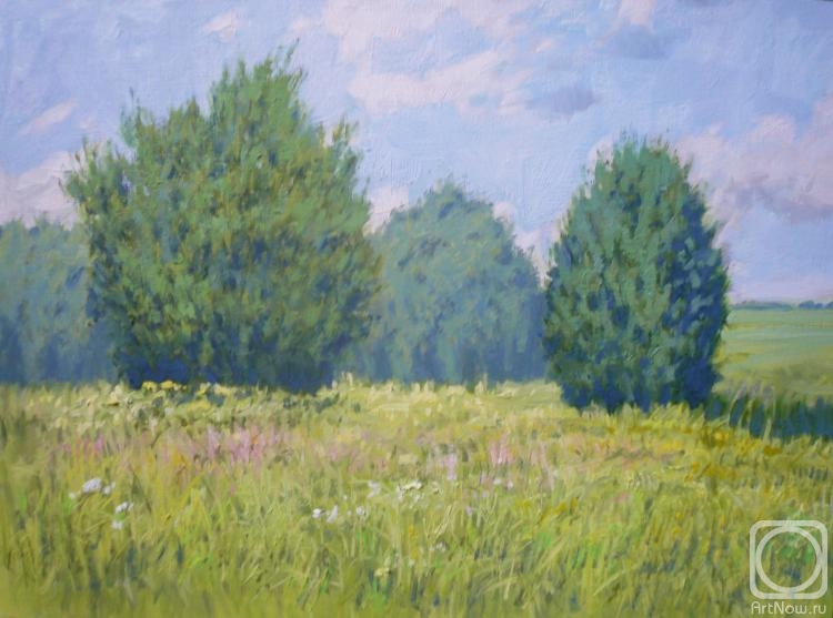 Toporkov Anatoliy. Summer landscape