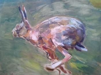Running Hare. Korolev Andrey
