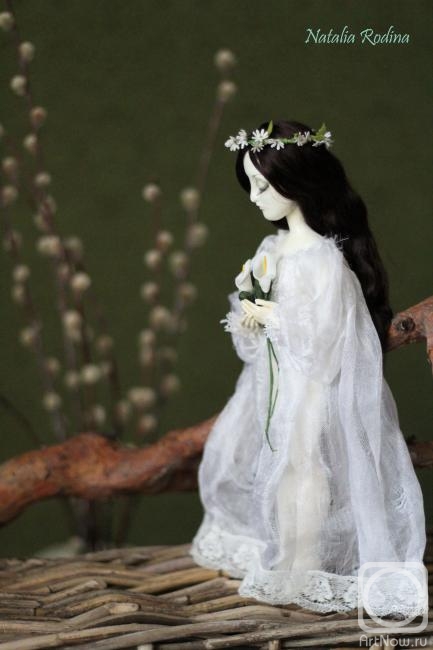 ������ �������. ��������