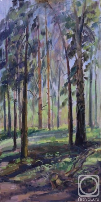 ������� ������ �� ������. �������� �����. ����� ������. ��������� ����