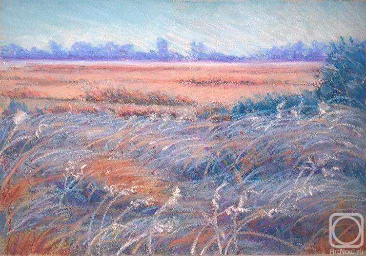 Charova Natali. Grass in the steppe