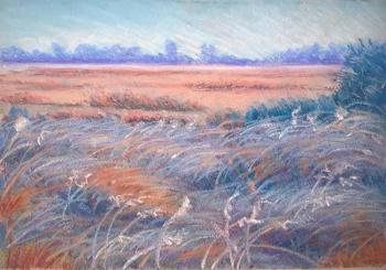 Grass in the steppe. Charova Natali