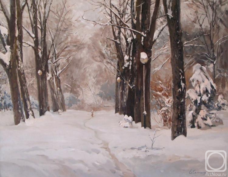 Sayapina Elena. Snow-covered avenue