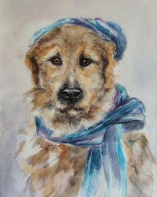 ������ (������ ���). ���������� �������