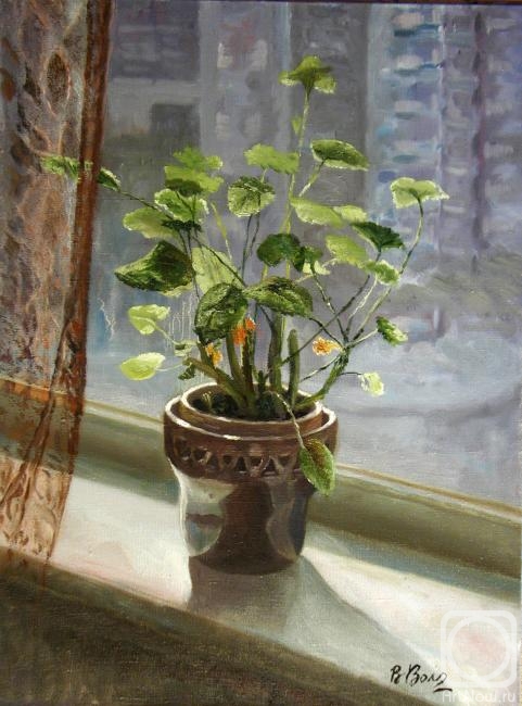 Volosov Vladmir. Geranium on the Window